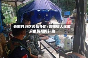 云南各地区疫情补助/云南省人民政府疫情期间补助