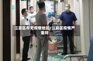 江夏区有无疫情地区/江夏区疫情严重吗