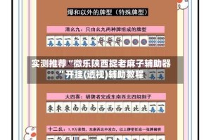 实测推荐“微乐陕西捉老麻子辅助器”开挂(透视)辅助教程
