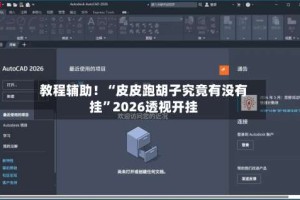 教程辅助！“皮皮跑胡子究竟有没有挂”2026透视开挂