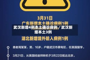 武汉新增4例本土确诊病例／武汉新增本土3例