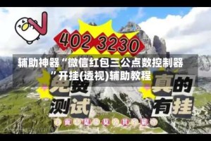 辅助神器“微信红包三公点数控制器”开挂(透视)辅助教程