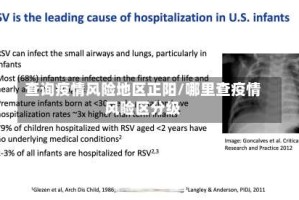 查询疫情风险地区正阳/哪里查疫情风险区分级