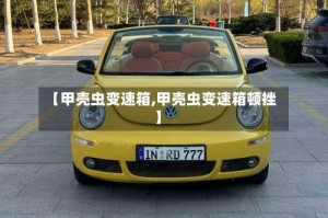 【甲壳虫变速箱,甲壳虫变速箱顿挫】