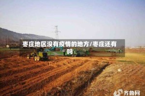 枣庄地区没有疫情的地方/枣庄还有吗