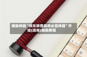 辅助神器“微乐陕西麻将必赢神器”开挂(透视)辅助教程