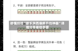 秒懂经验“微乐陕西麻将开挂神器”详细分享装挂步骤