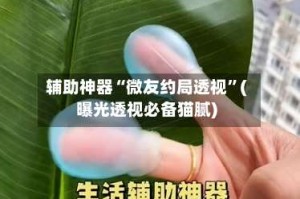 辅助神器“微友约局透视”(曝光透视必备猫腻)