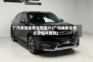 广汽本田全部车型图片(广汽本田全部车型图片黑色)
