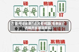 万能开挂辅助“透视看牌器(免费版)”透视开挂辅助教程
