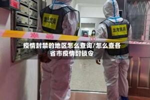 疫情封禁的地区怎么查询/怎么查各省市疫情封锁令