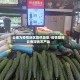 云南为疫情地区提供蔬菜/疫情期间云南滞销农产品