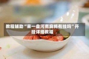 教程辅助“来一盘河南麻将有挂吗”开挂详细教程