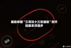 辅助神器“三哥玩十三张辅助”附开挂脚本详细步