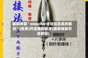 辅助神器“wepoker透视挂是真的假的”(免费)开挂辅助教学(最新辅助开挂教程)