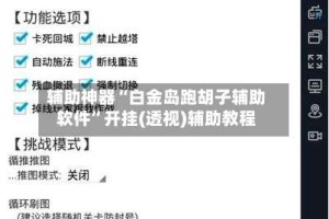 辅助神器“白金岛跑胡子辅助软件”开挂(透视)辅助教程