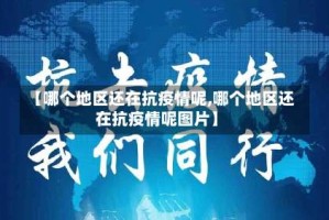 【哪个地区还在抗疫情呢,哪个地区还在抗疫情呢图片】