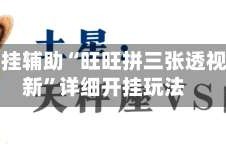 教程开挂辅助“旺旺拼三张透视挂最新”详细开挂玩法