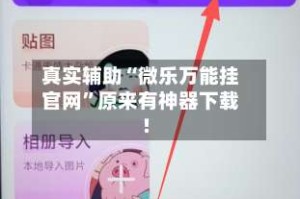 真实辅助“微乐万能挂官网”原来有神器下载!