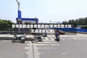 常州车辆违章费用缴纳(常州交警大队交通违章处理)