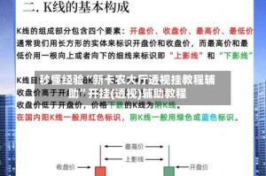 秒懂经验“新卡农大厅透视挂教程辅助”开挂(透视)辅助教程