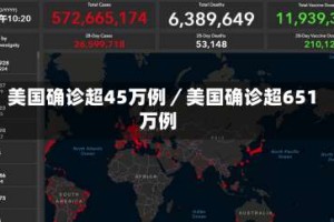 美国确诊超45万例／美国确诊超651万例