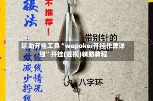 辅助开挂工具“wepoker开挂作弊详细”开挂(透视)辅助教程