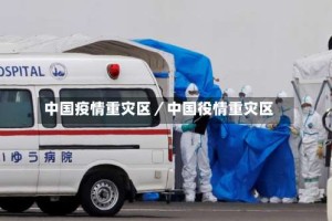 中国疫情重灾区／中国役情重灾区