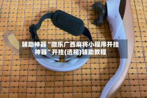 辅助神器“微乐广西麻将小程序开挂神器”开挂(透视)辅助教程