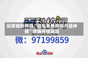 玩家辅助神器“微乐免费房间开挂神器”详细开挂玩法