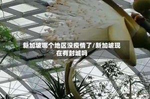 新加坡哪个地区没疫情了/新加坡现在有封城吗