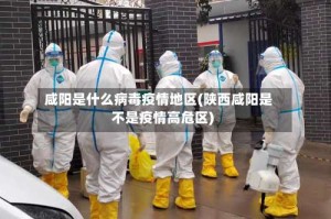 咸阳是什么病毒疫情地区(陕西咸阳是不是疫情高危区)