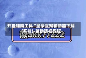 开挂辅助工具“皇豪互娱辅助器下载(开挂)-辅助透视教程