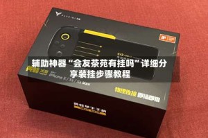 辅助神器“会友茶苑有挂吗”详细分享装挂步骤教程