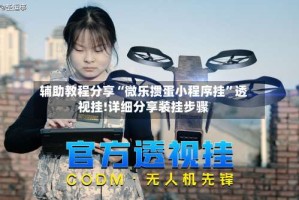 辅助教程分享“微乐掼蛋小程序挂”透视挂!详细分享装挂步骤
