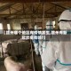 【赣州哪个地区有疫情发生,赣州有新冠状病毒吗?】