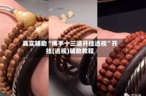 真实辅助“佛手十三道开挂透视”开挂(透视)辅助教程