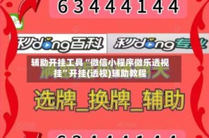 辅助开挂工具“微信小程序微乐透视挂”开挂(透视)辅助教程