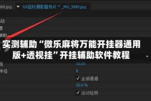 实测辅助“微乐麻将万能开挂器通用版+透视挂”开挂辅助软件教程