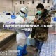【泰安地区宁阳的疫情情况,山东泰安一宁阳】