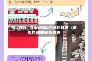 指定教程“微乐安徽麻将开挂教程”(透视挂)辅助透视教程
