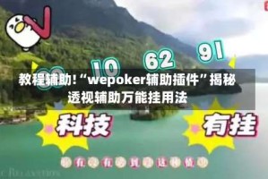 教程辅助!“wepoker辅助插件”揭秘透视辅助万能挂用法