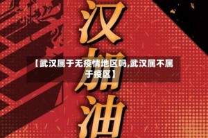 【武汉属于无疫情地区吗,武汉属不属于疫区】