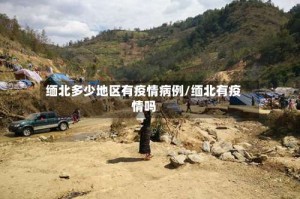 缅北多少地区有疫情病例/缅北有疫情吗