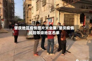 肇庆地区疫情图片大全集/肇庆疫情风险等级地区名单