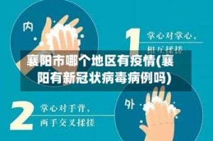 襄阳市哪个地区有疫情(襄阳有新冠状病毒病例吗)