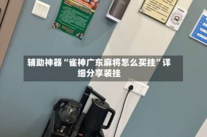 辅助神器“雀神广东麻将怎么买挂”详细分享装挂