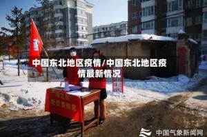 中国东北地区疫情/中国东北地区疫情最新情况