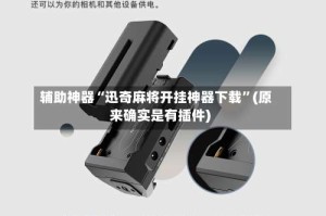 辅助神器“迅奇麻将开挂神器下载”(原来确实是有插件)