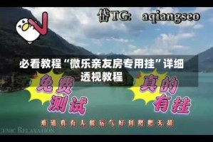 必看教程“微乐亲友房专用挂”详细透视教程